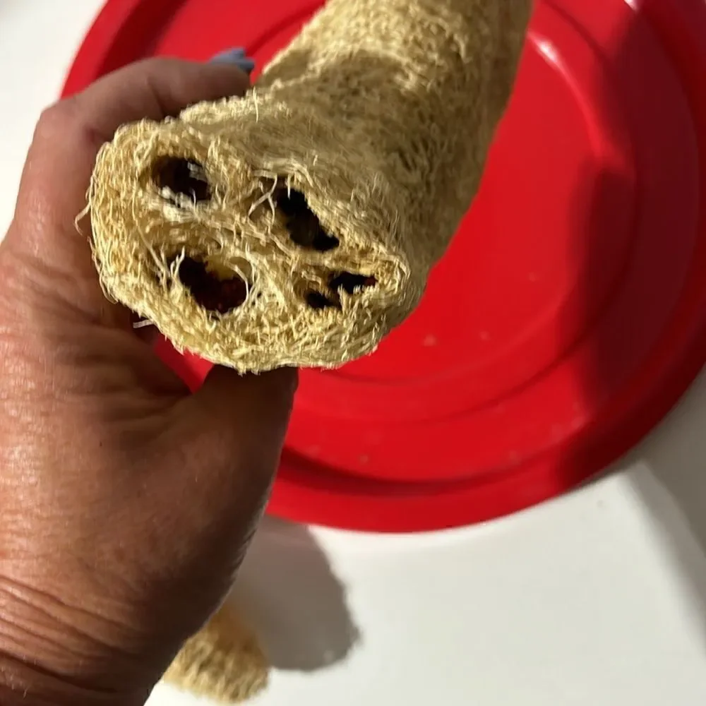 Loofah for crafting